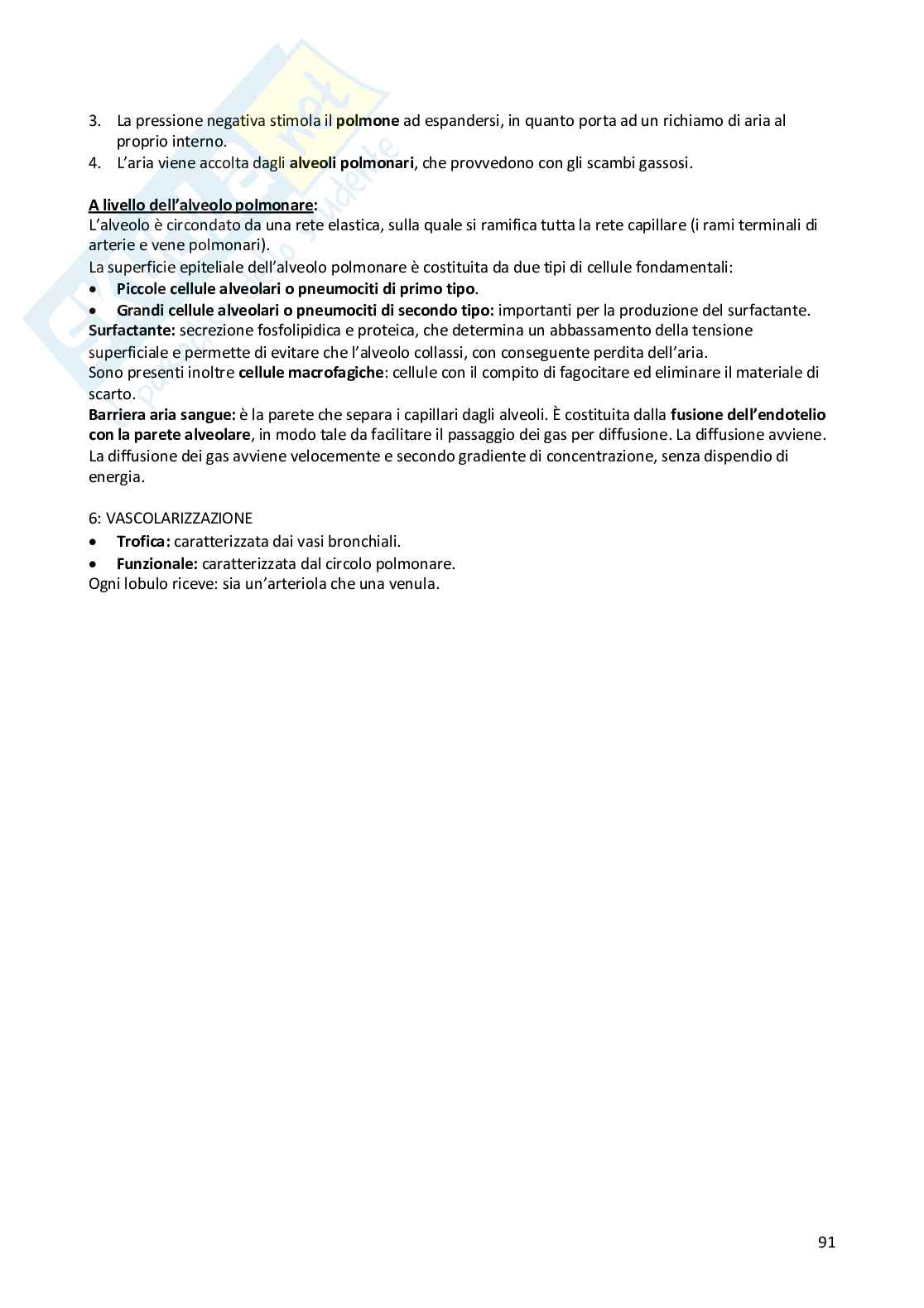 Anatomia generale Pag. 91
