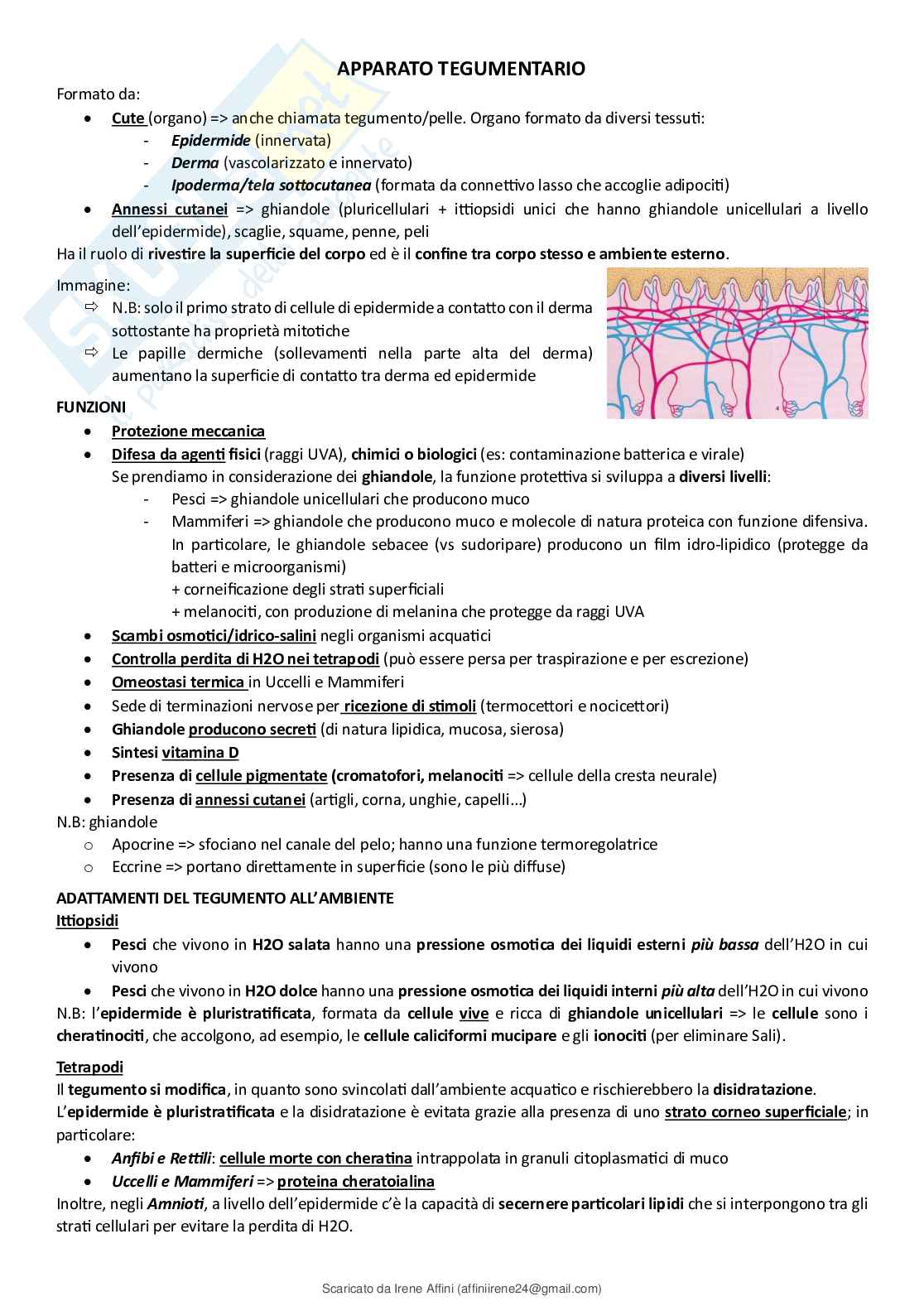 Anatomia comparata Pag. 1