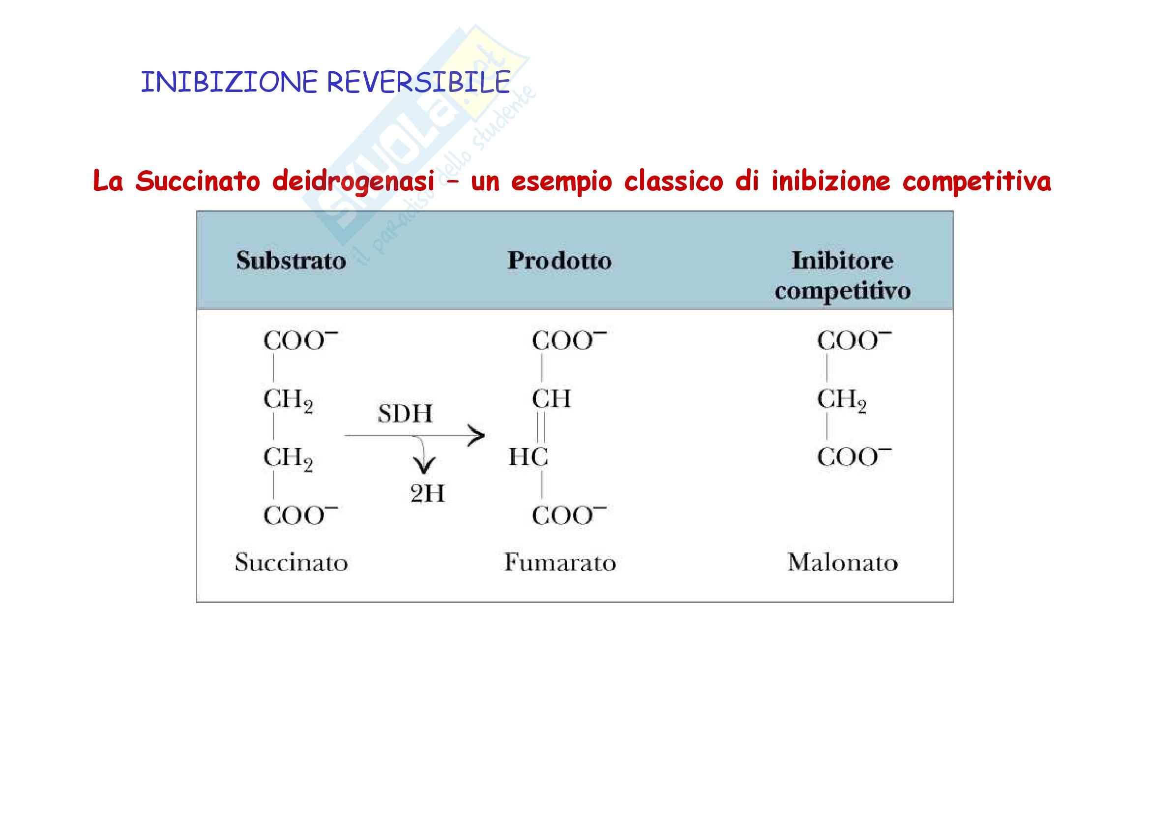 Biochimica - Inibizione enzimatica Pag. 2