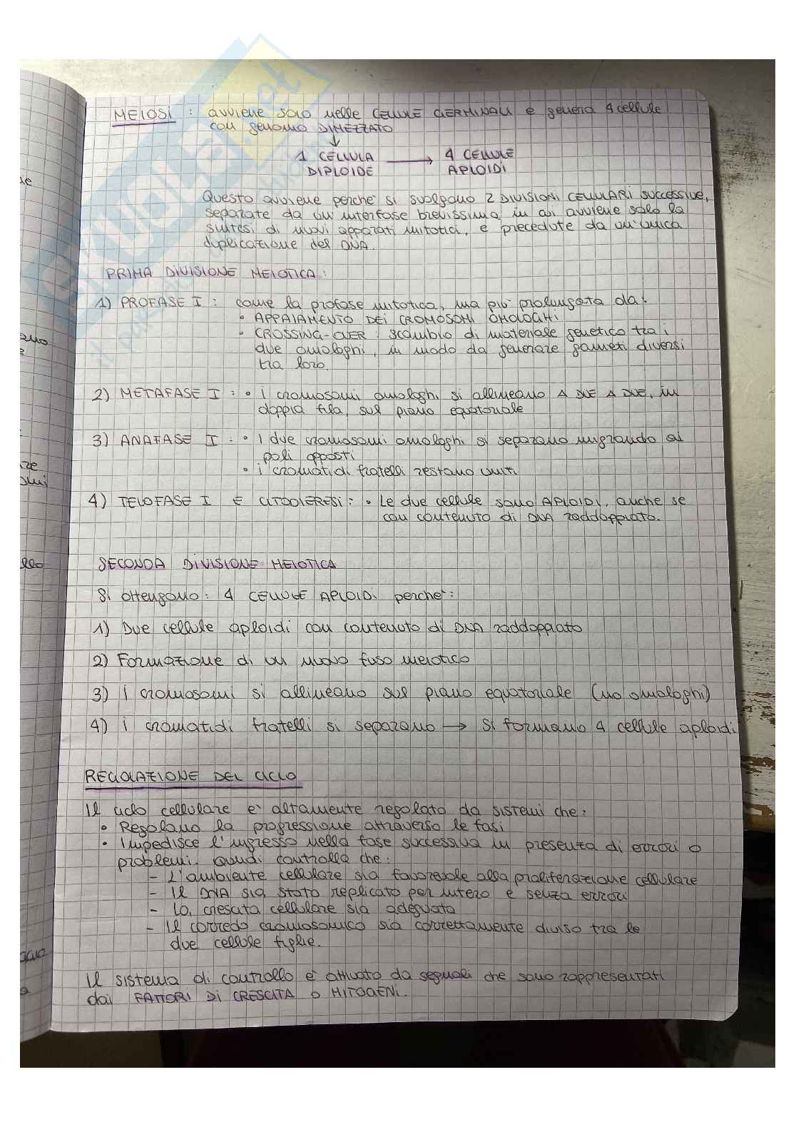 Esame di Biologia Pag. 21