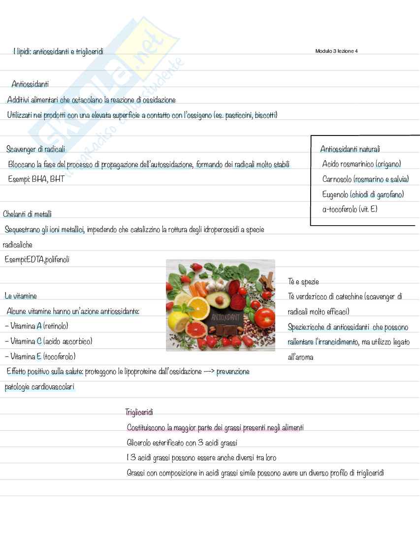 Schemi di Chimica degli alimenti Pag. 26