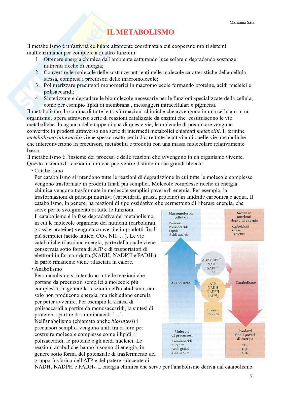 Biochimica e analisi biochimica degli alimenti Pag. 51