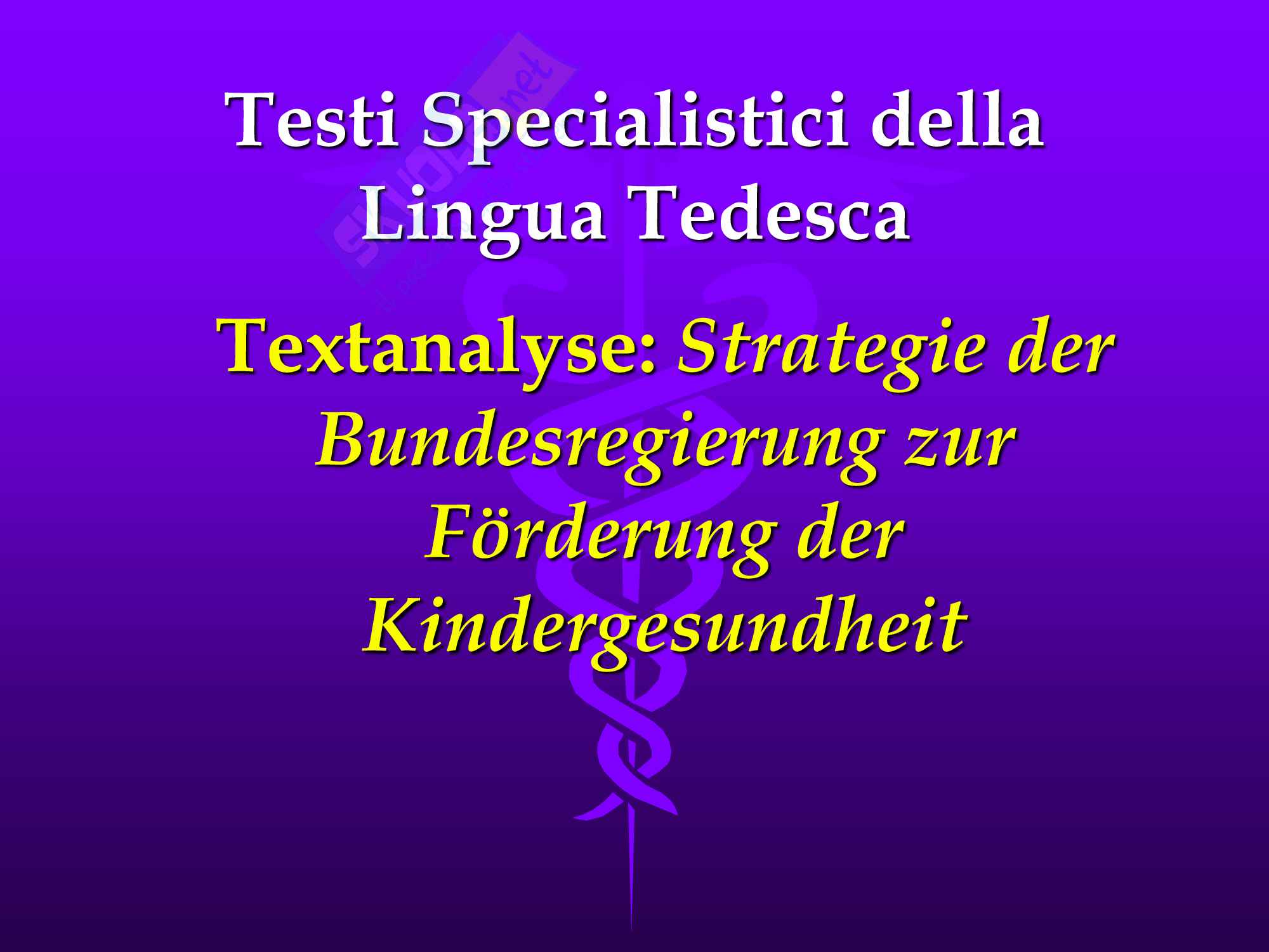 Presentazione per esame - Testi Specialistici della Lingua Tedesca Pag. 1