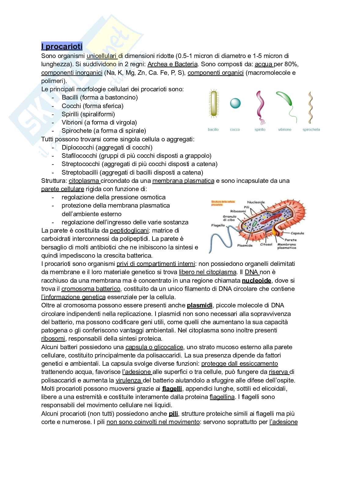 Biologia e genetica Pag. 11