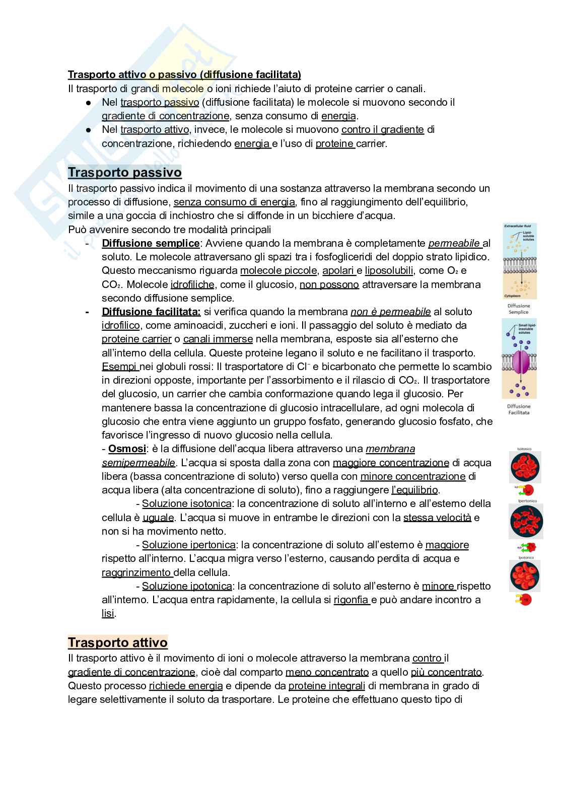 Biologia e genetica Pag. 21