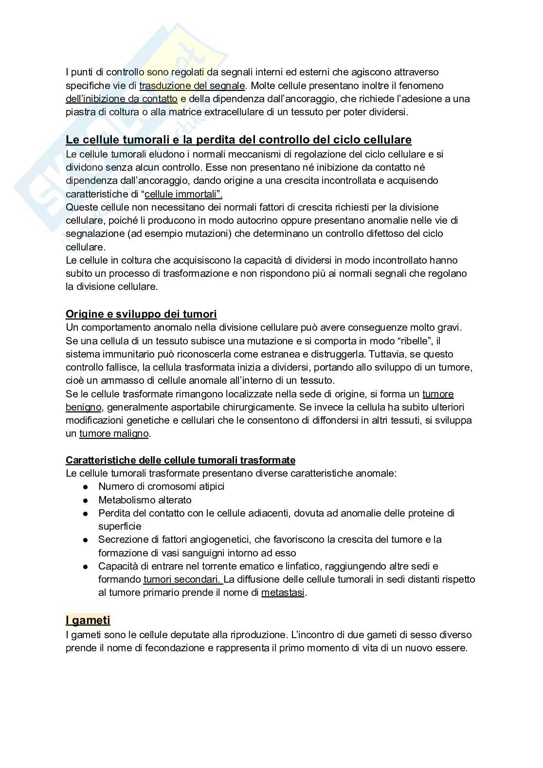 Biologia e genetica Pag. 46