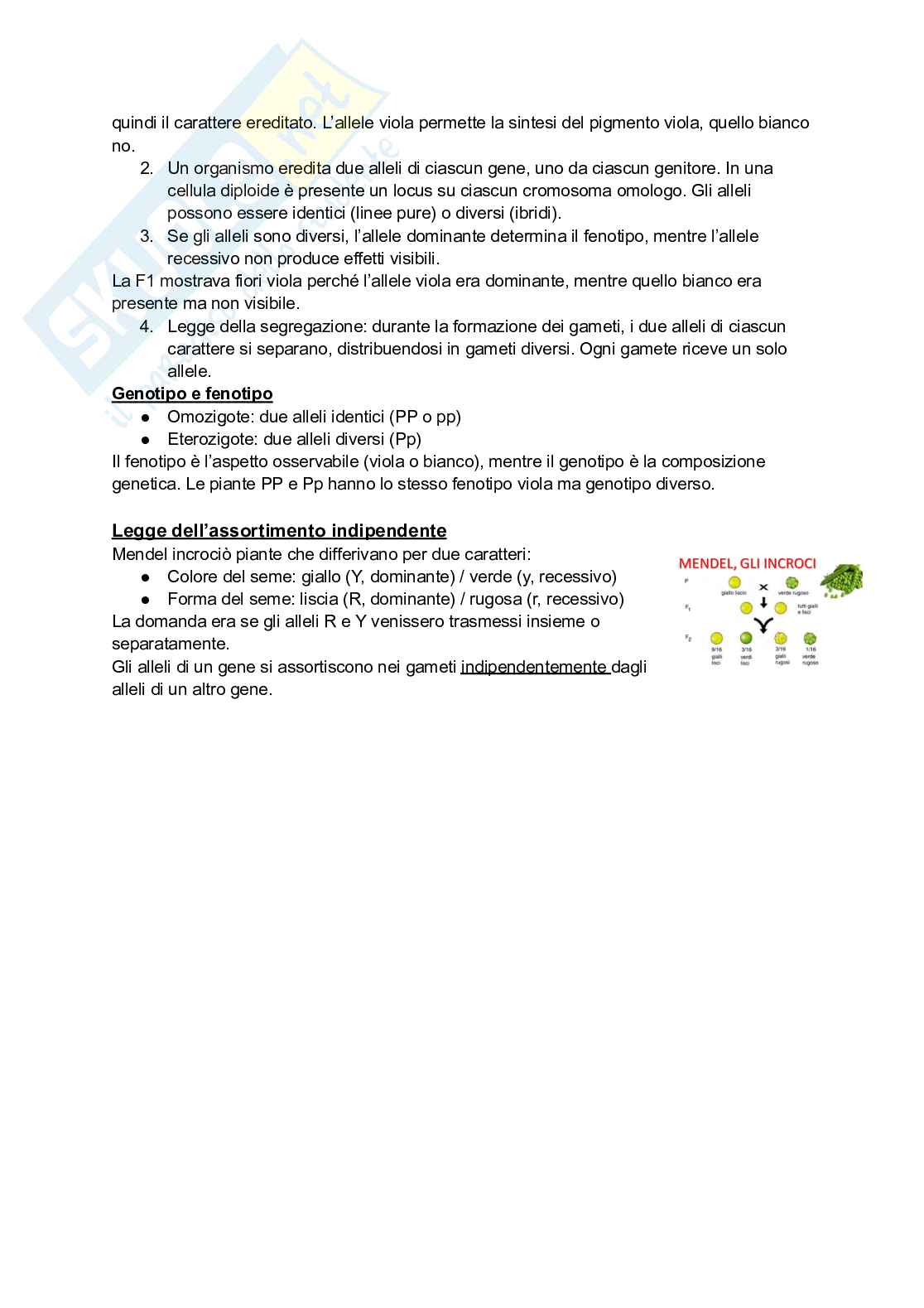 Biologia e genetica Pag. 51
