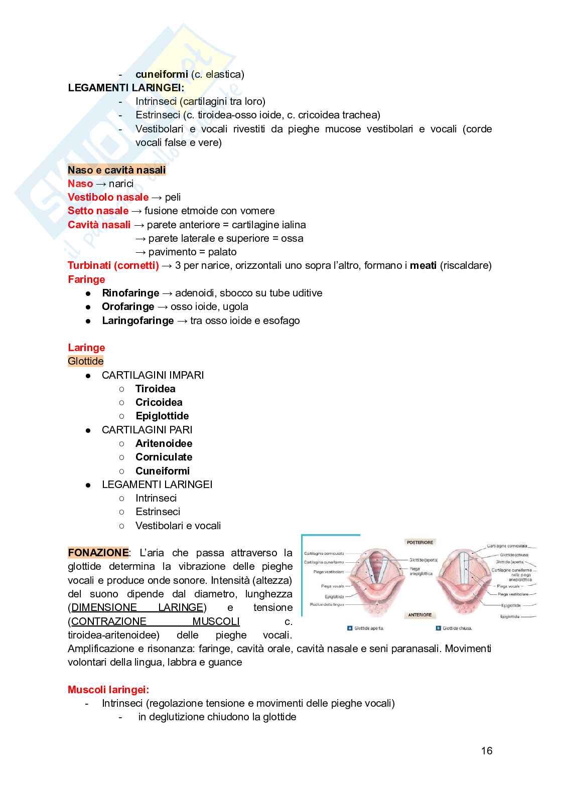 Anatomia e fisiologia dei modelli animali Pag. 16