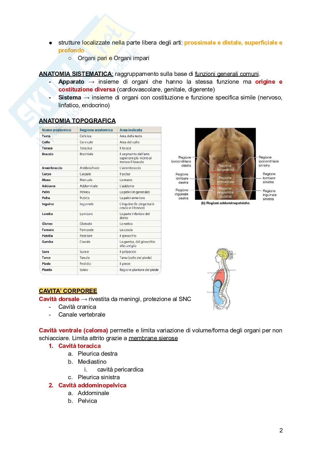 Anatomia e fisiologia dei modelli animali Pag. 2