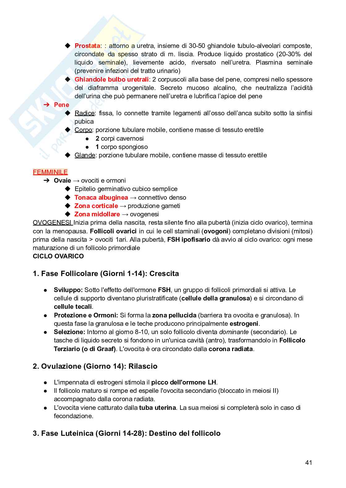 Anatomia e fisiologia dei modelli animali Pag. 41