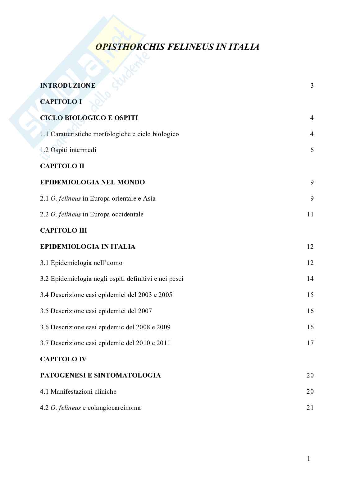 Opisthorchis felineus in Italia Pag. 1