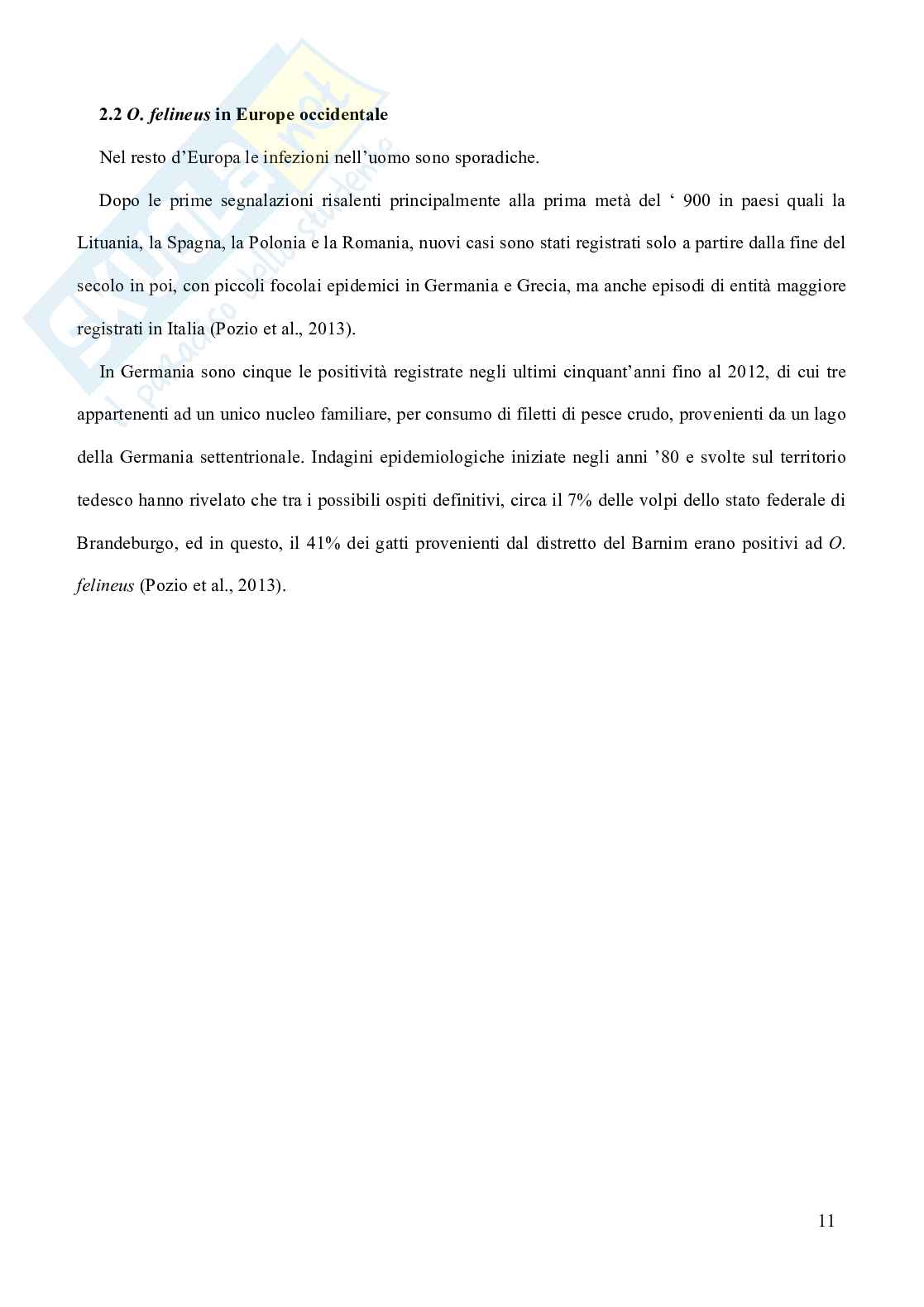 Opisthorchis felineus in Italia Pag. 11