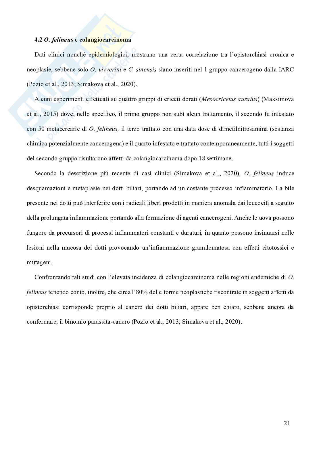 Opisthorchis felineus in Italia Pag. 21