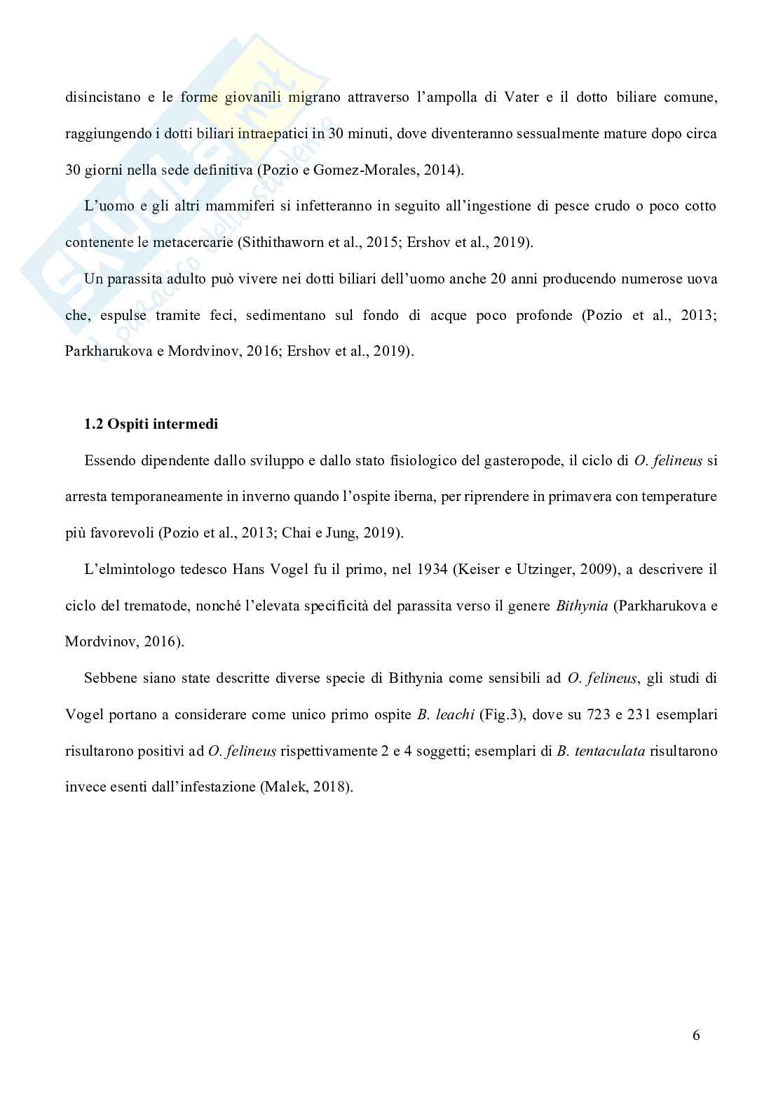 Opisthorchis felineus in Italia Pag. 6