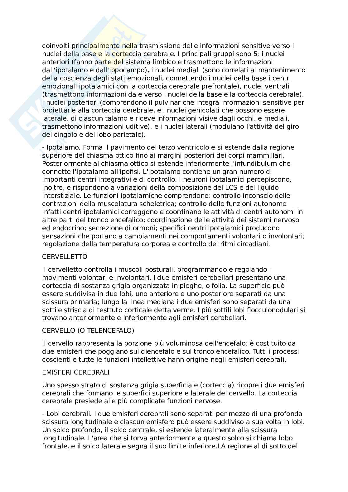 Anatomia funzionale(Riassunti) Pag. 56