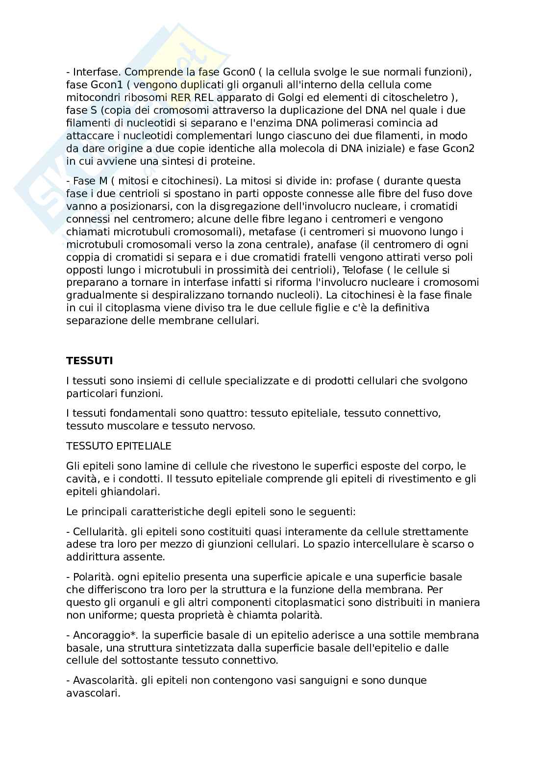 Anatomia funzionale(Riassunti) Pag. 6