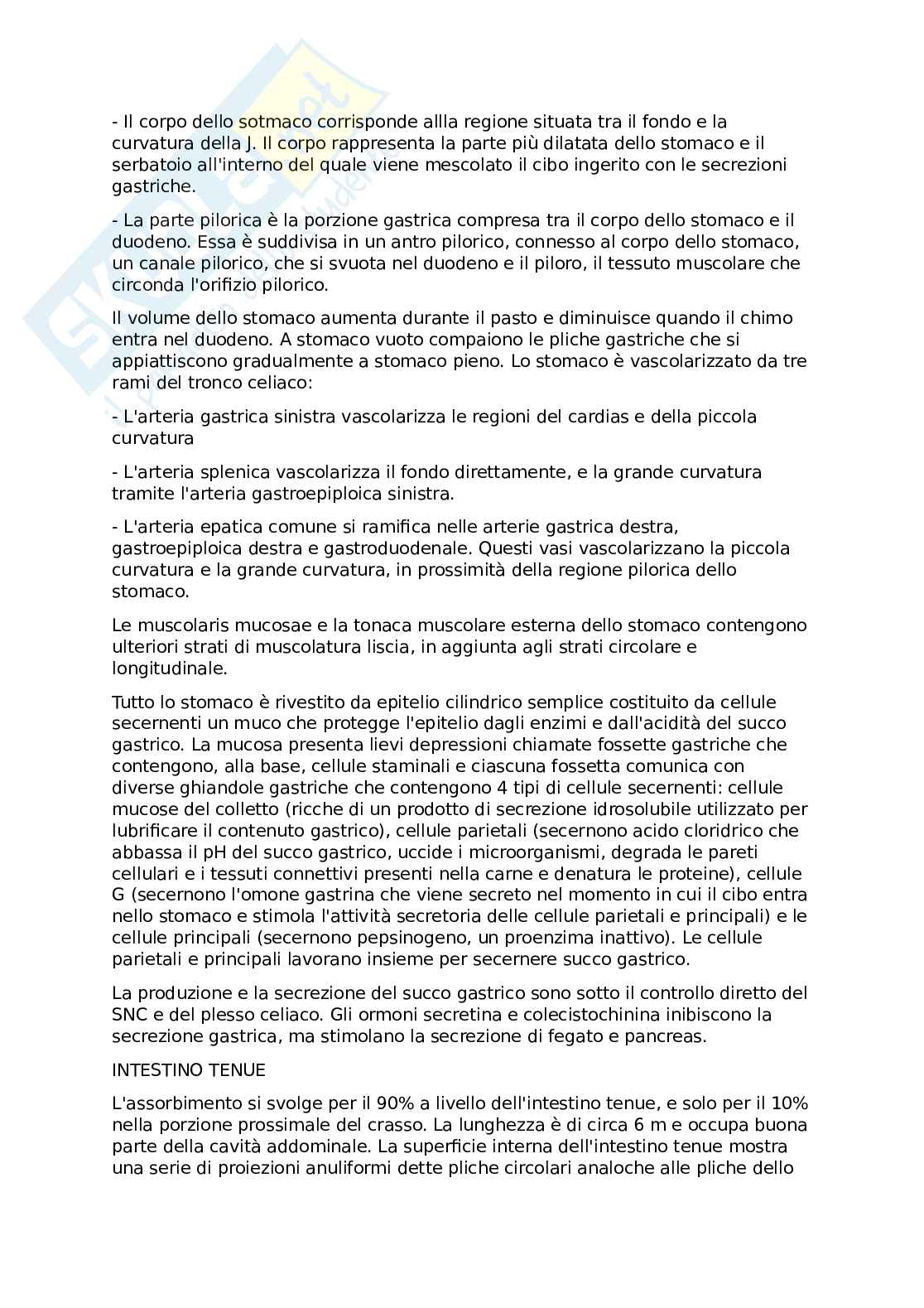 Anatomia funzionale(Riassunti) Pag. 91