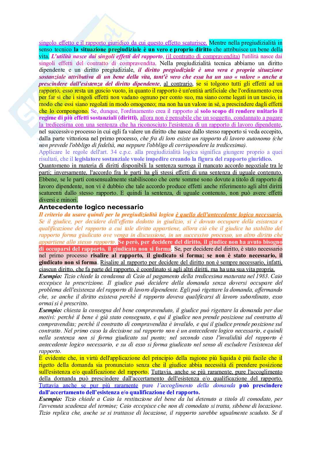 Diritto processuale civile  Pag. 51
