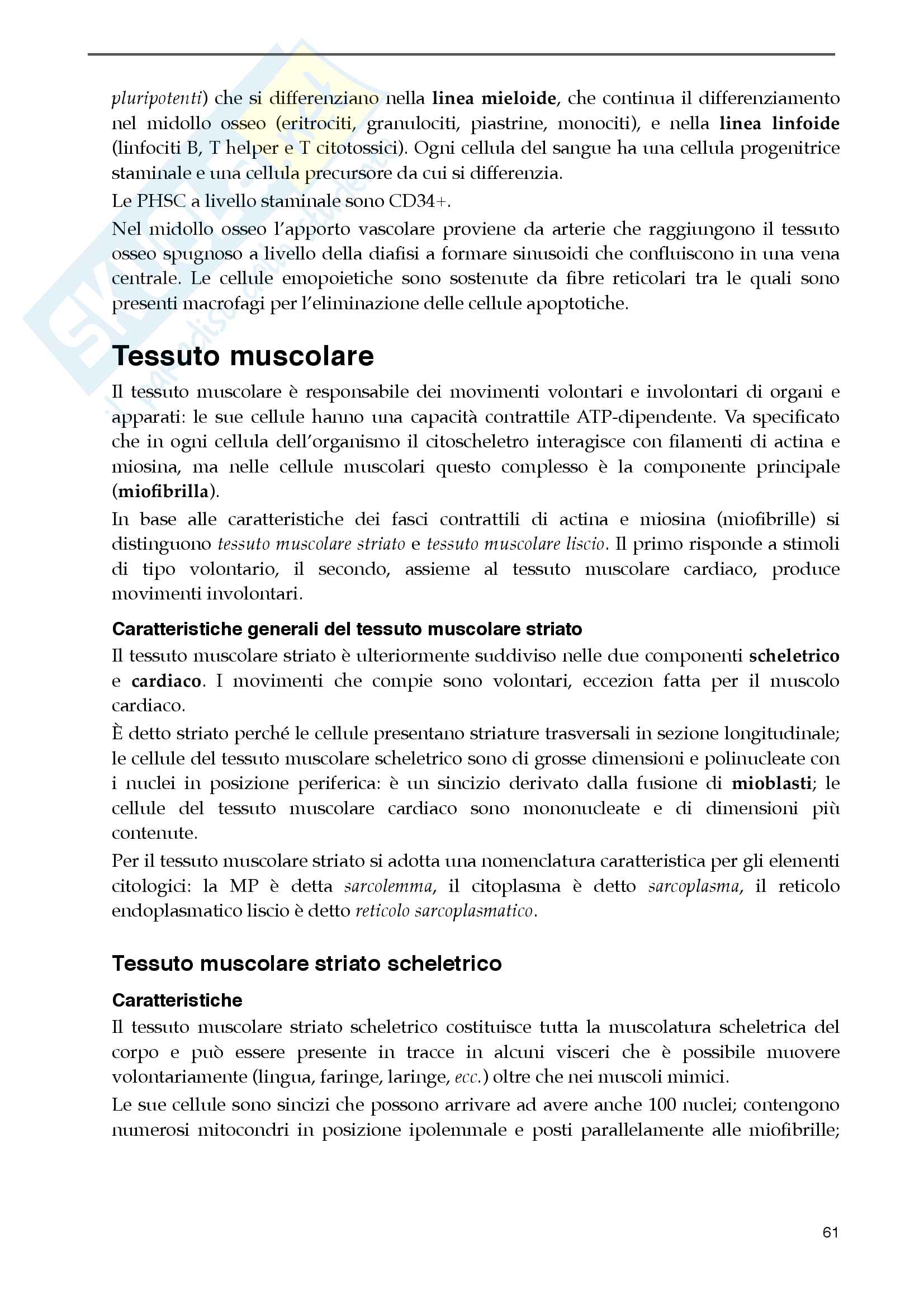 Citologia e Istologia Pag. 61