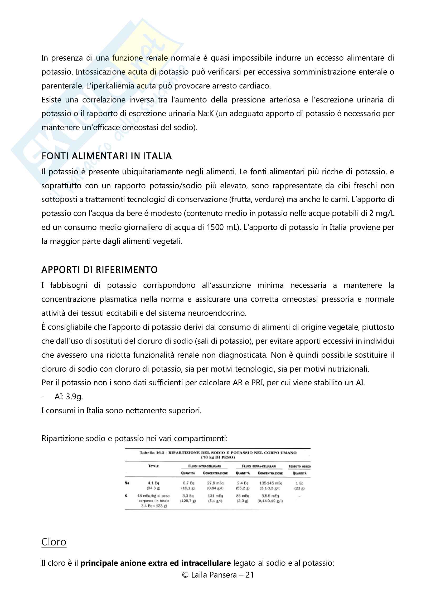 Nutrizione applicata, parte 3 Pag. 21