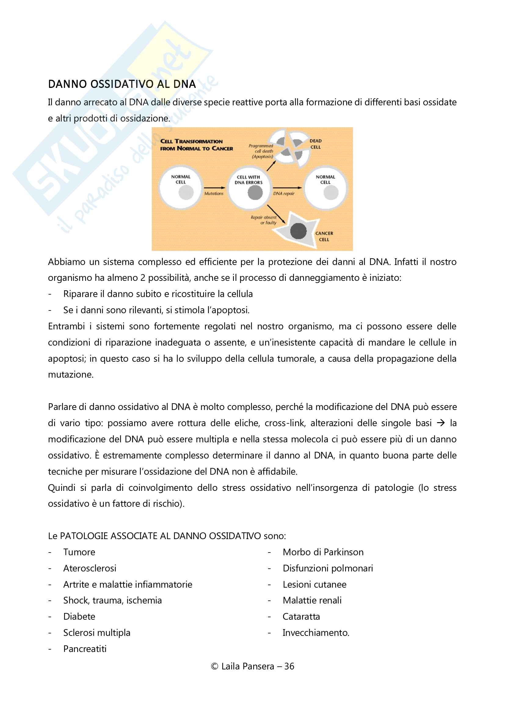 Nutrizione applicata, parte 3 Pag. 36