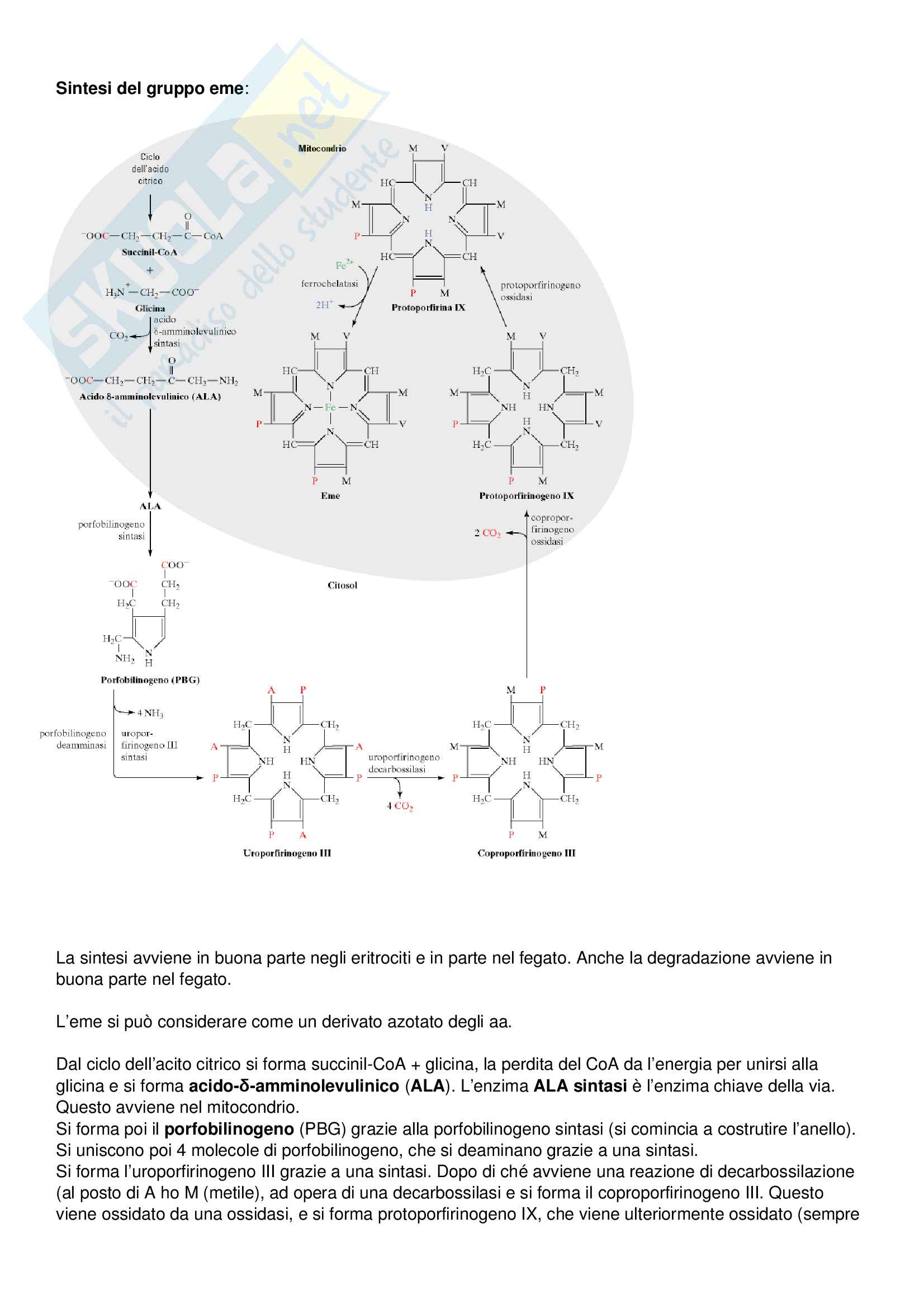 Amtra Biopond Mulm-3-Complex 2kg - Degrada Limo E Melma In Laghetto, Elimina Cattivi Odori - Foto 12
