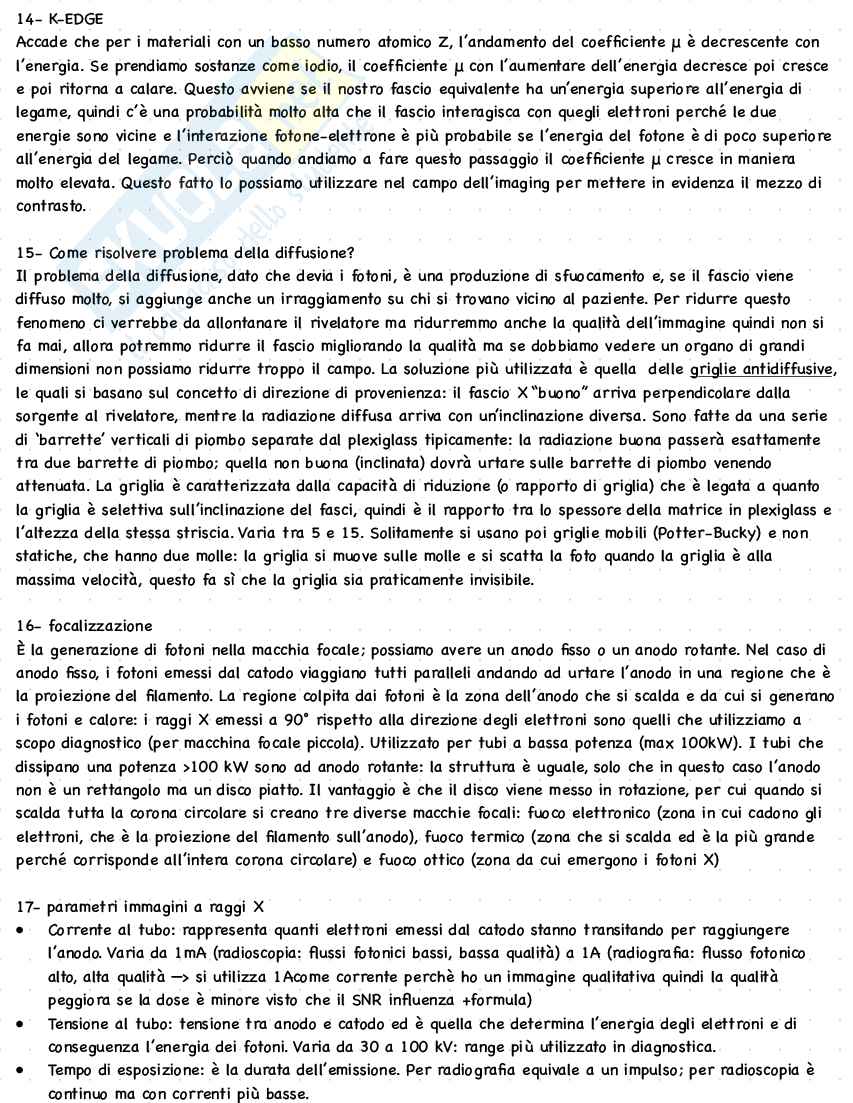 Domande esame Bioimmagini Pag. 6