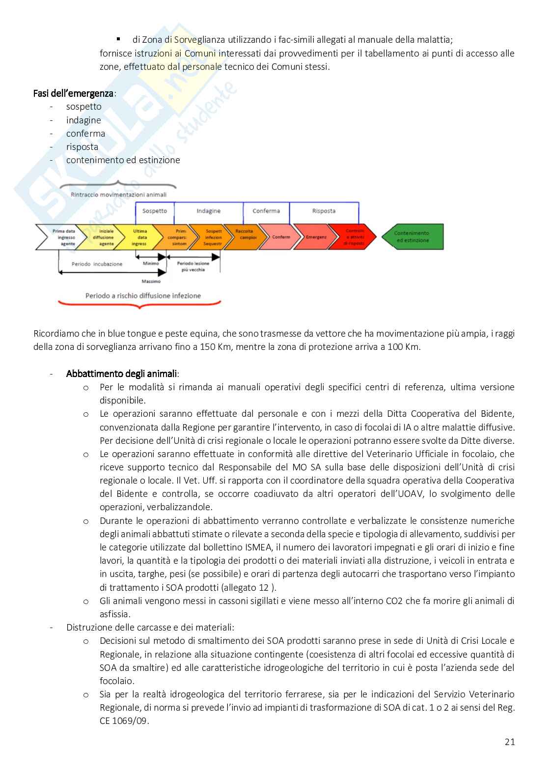 Polizia veterinaria Pag. 21