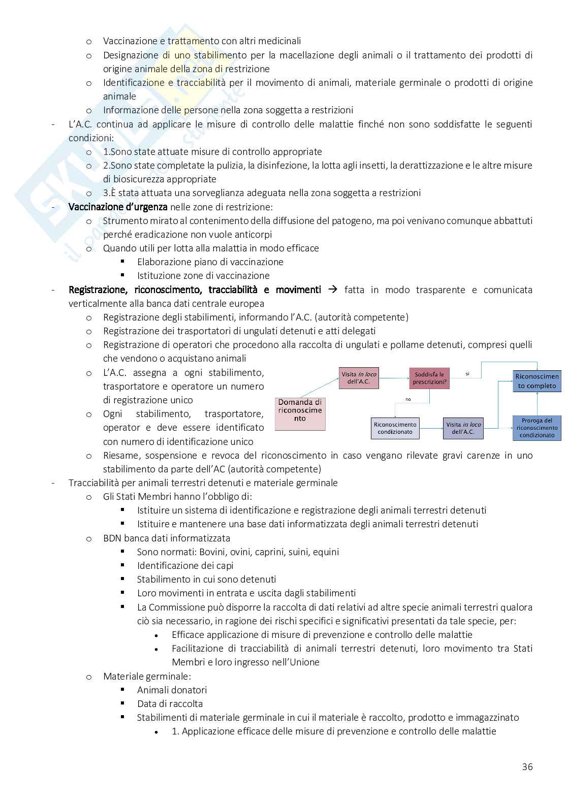 Polizia veterinaria Pag. 36