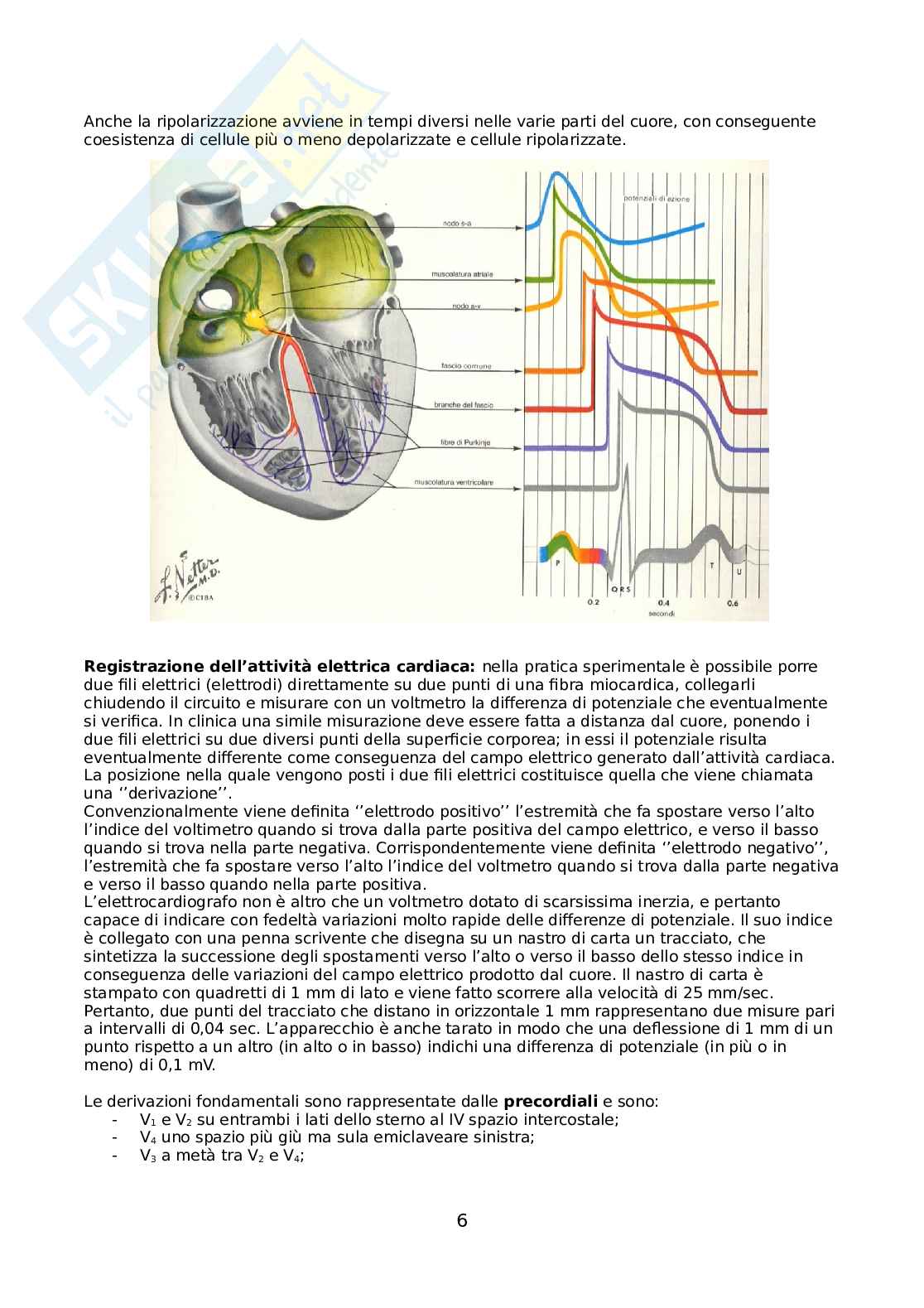 Malattie cardiovascolari Pag. 6