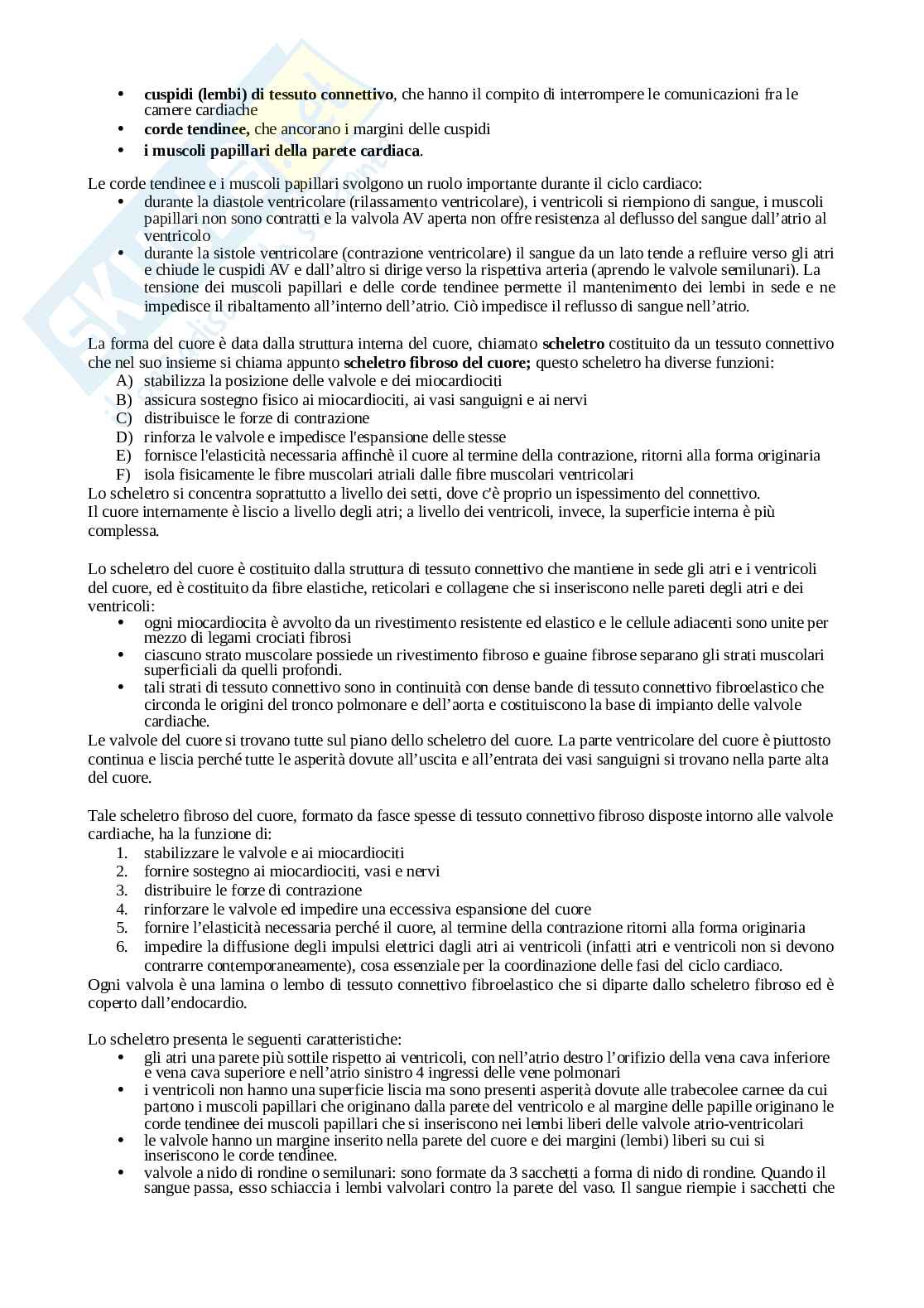 Appunti Anatomia umana Pag. 71