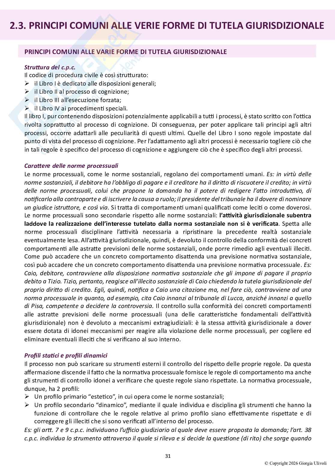 Riassunto esame Diritto processuale civile, Prof. Pagni Ilaria, libro consigliato Diritto processuale civile A (volume I, II e IV), Luiso Pag. 31