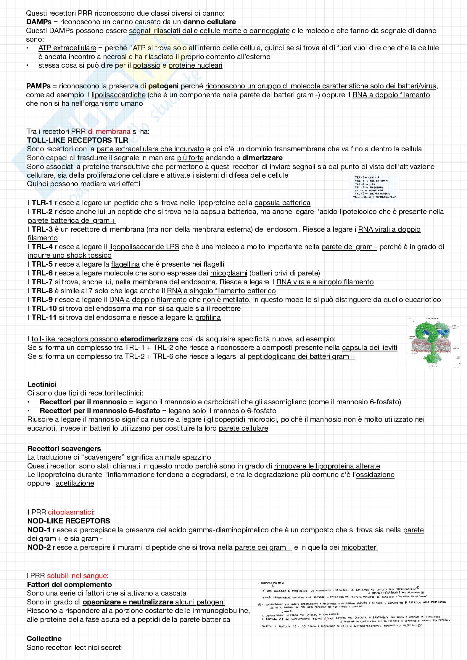 Argomenti principali di Patologia Pag. 2