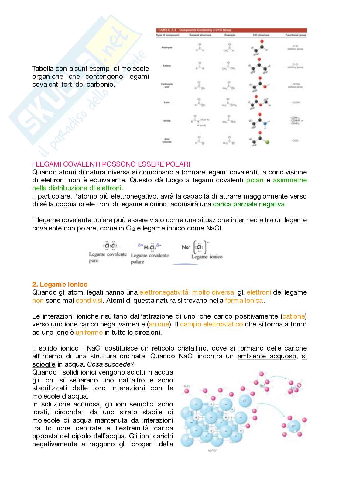 Appunti Biochimica 1 – Parte 1 – Completi di immagini e schemi Pag. 11