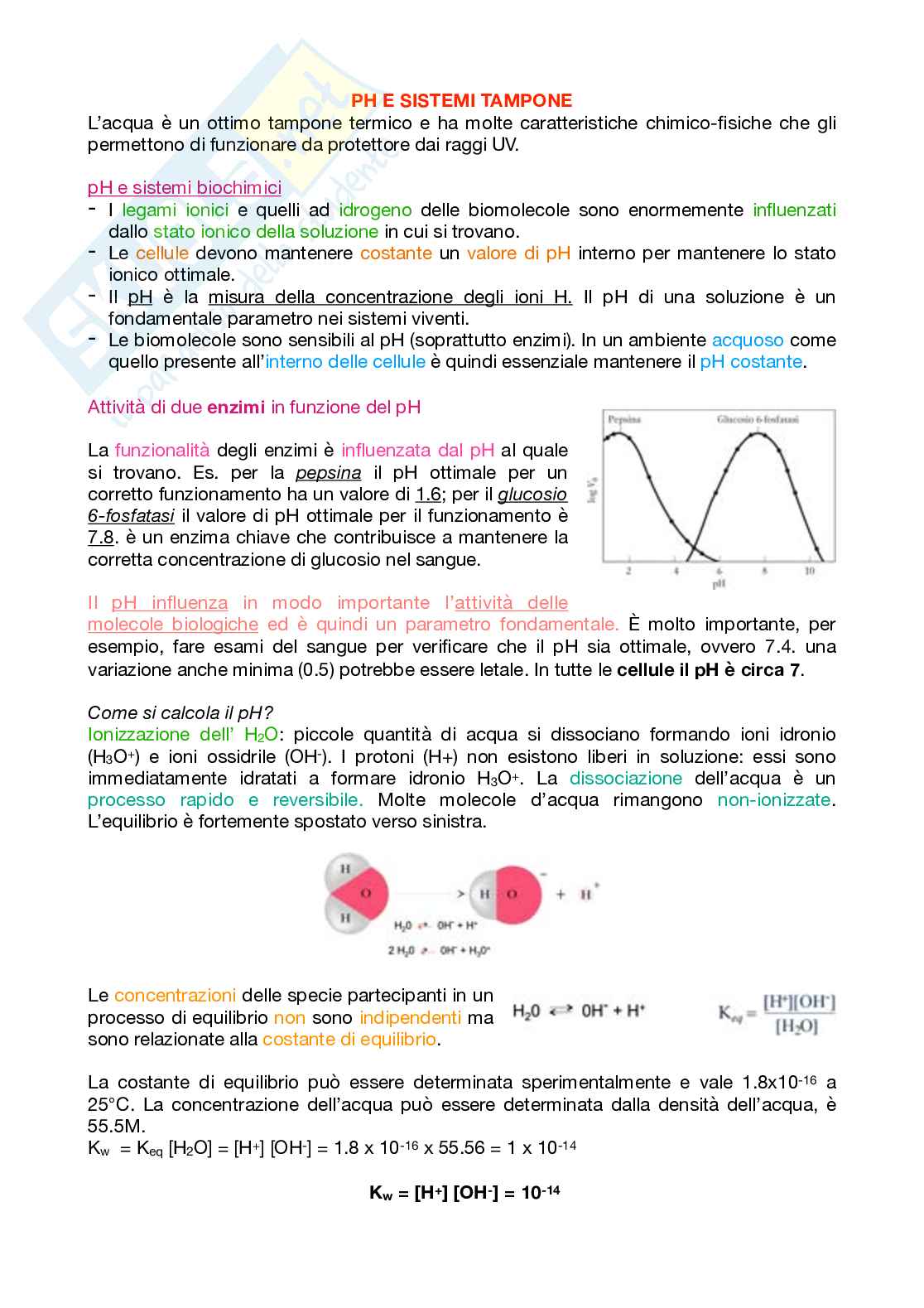 Appunti Biochimica 1 – Parte 1 – Completi di immagini e schemi Pag. 16