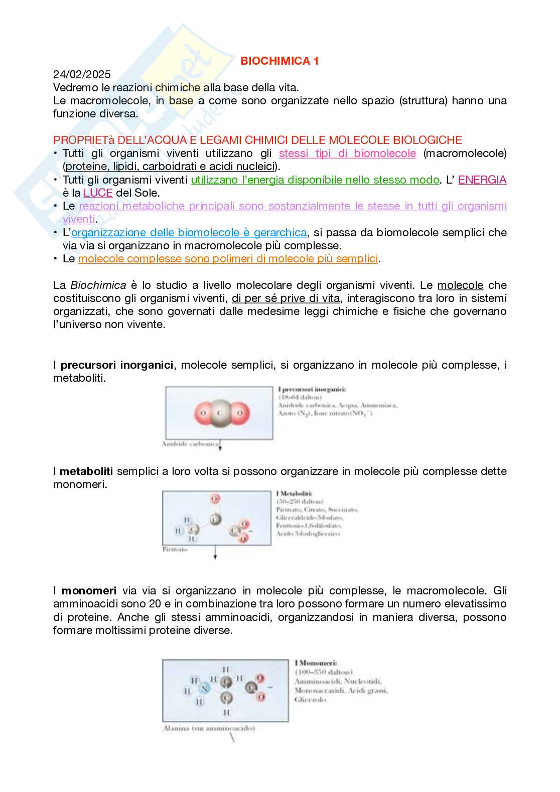 Appunti Biochimica 1 – Parte 1 – Completi di immagini e schemi Pag. 2
