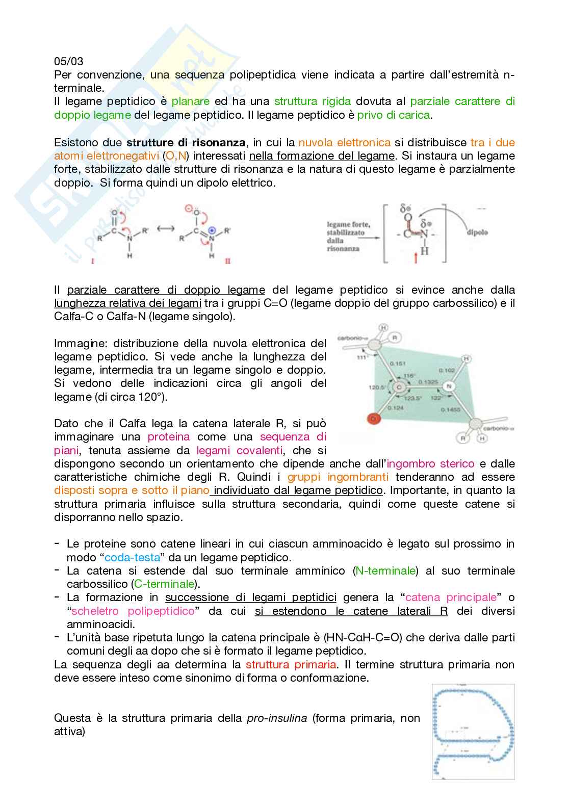 Appunti Biochimica 1 – Parte 1 – Completi di immagini e schemi Pag. 31