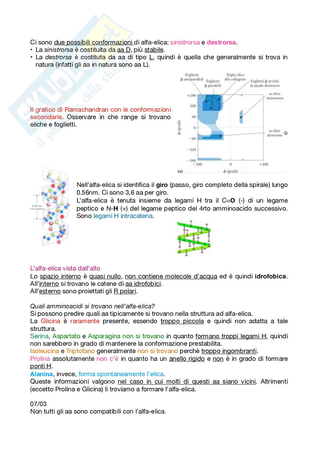 Appunti Biochimica 1 – Parte 1 – Completi di immagini e schemi Pag. 36