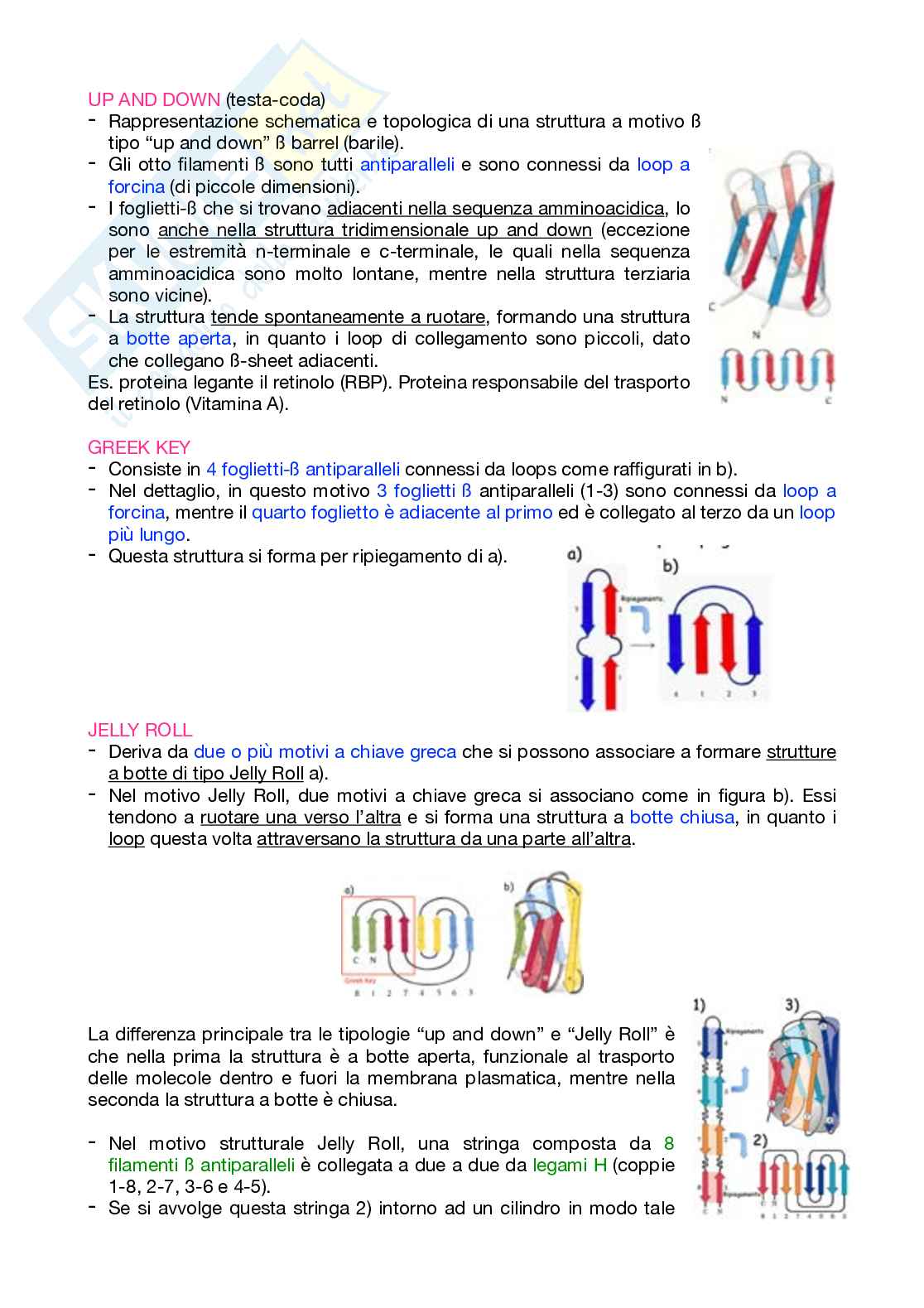 Appunti Biochimica 1 – Parte 1 – Completi di immagini e schemi Pag. 51