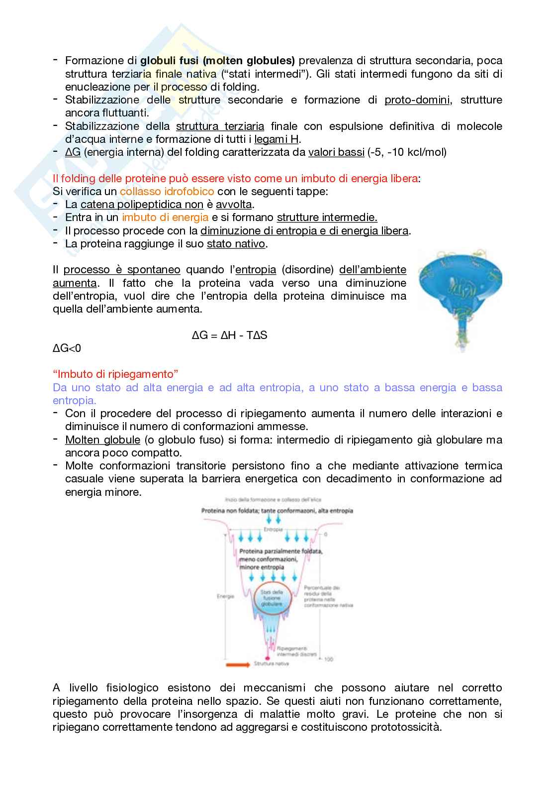 Appunti Biochimica 1 – Parte 1 – Completi di immagini e schemi Pag. 56