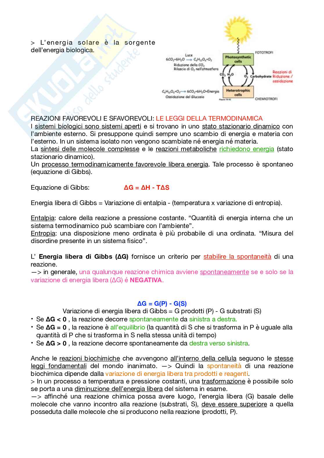 Appunti Biochimica 1 – Parte 1 – Completi di immagini e schemi Pag. 6
