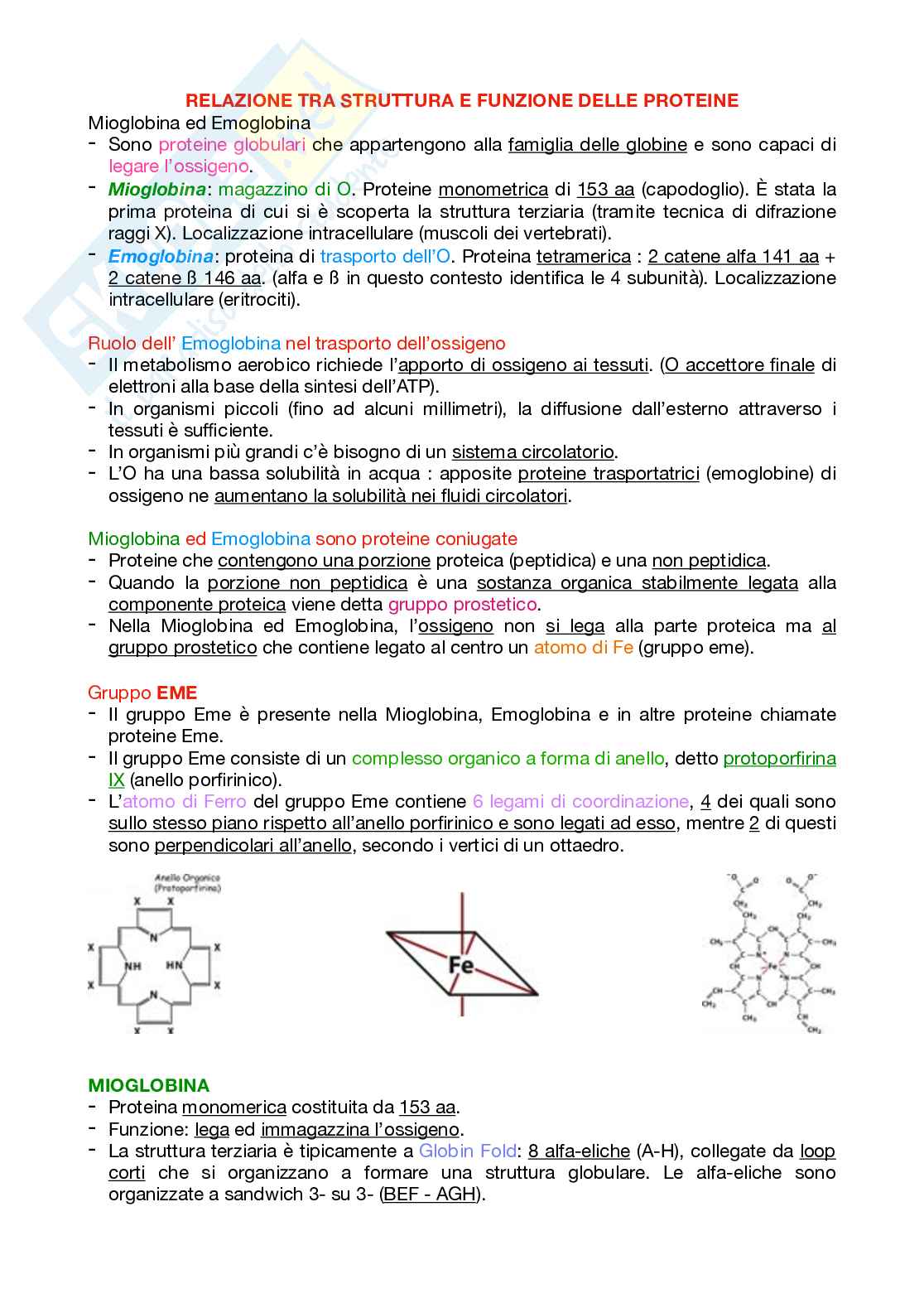Appunti Biochimica 1 – Parte 1 – Completi di immagini e schemi Pag. 61