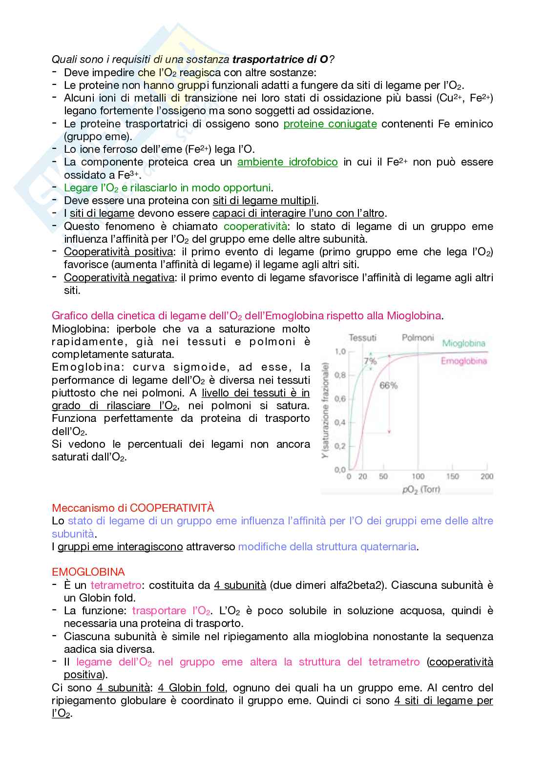 Appunti Biochimica 1 – Parte 1 – Completi di immagini e schemi Pag. 66