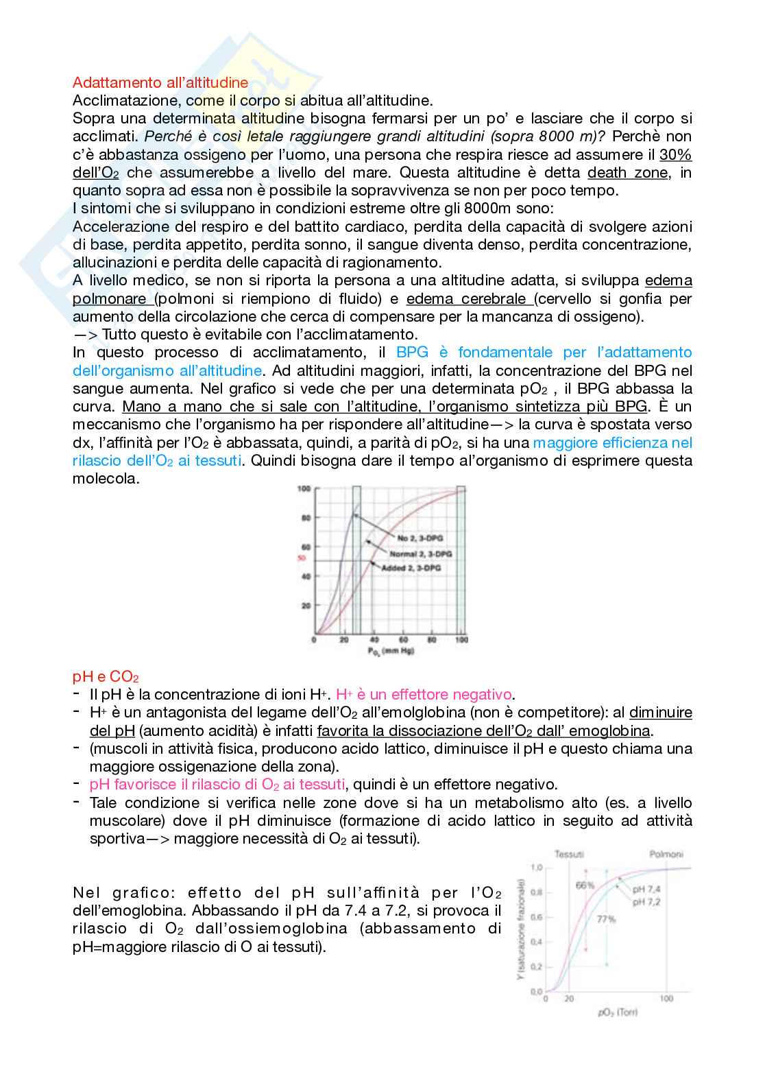 Appunti Biochimica 1 – Parte 1 – Completi di immagini e schemi Pag. 71