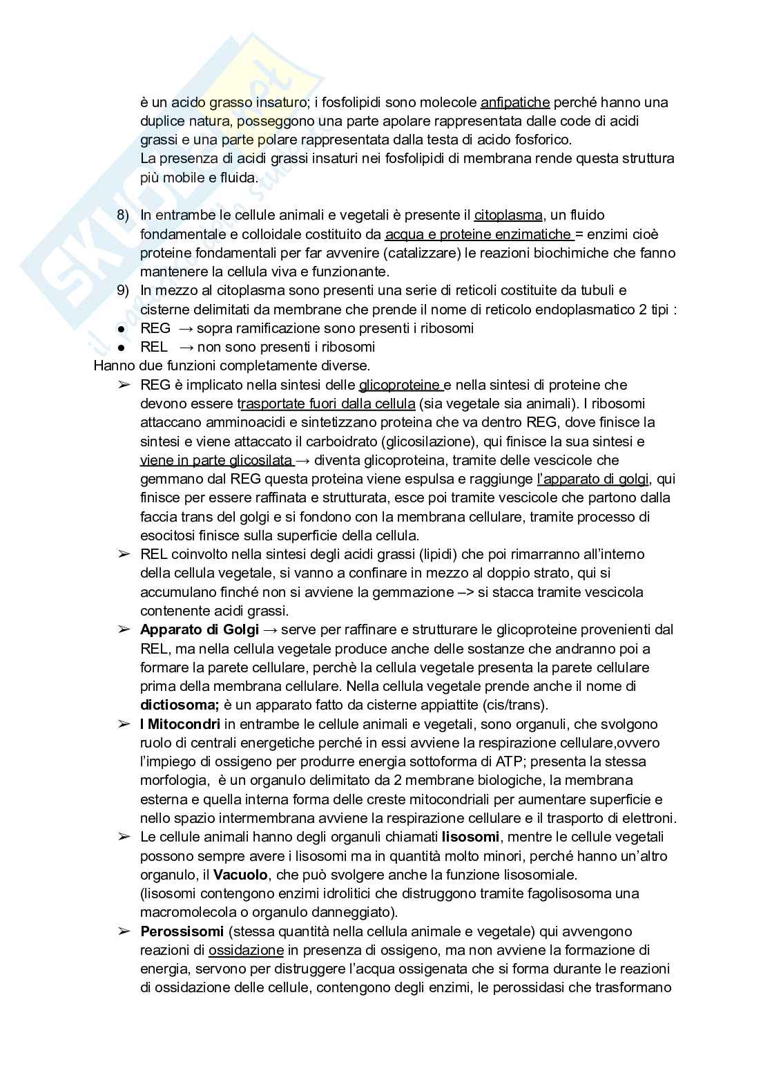 Biologia vegetale e Botanica farmaceutica  Pag. 11