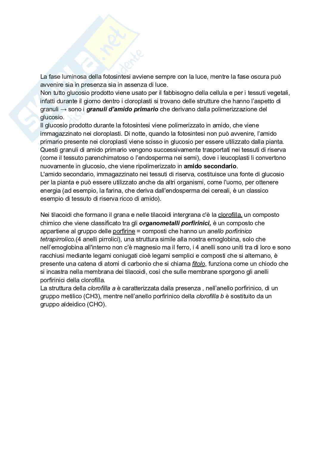 Biologia vegetale e Botanica farmaceutica  Pag. 16