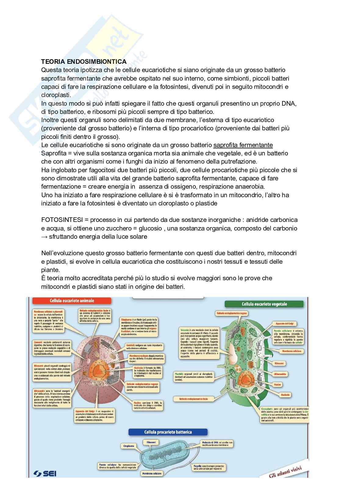 Biologia vegetale e Botanica farmaceutica  Pag. 2