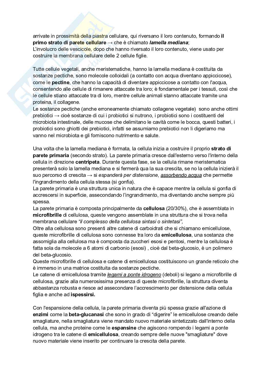 Biologia vegetale e Botanica farmaceutica  Pag. 21