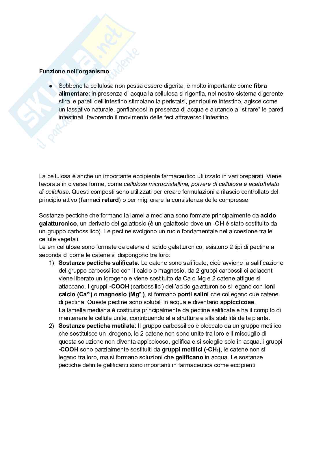 Biologia vegetale e Botanica farmaceutica  Pag. 26