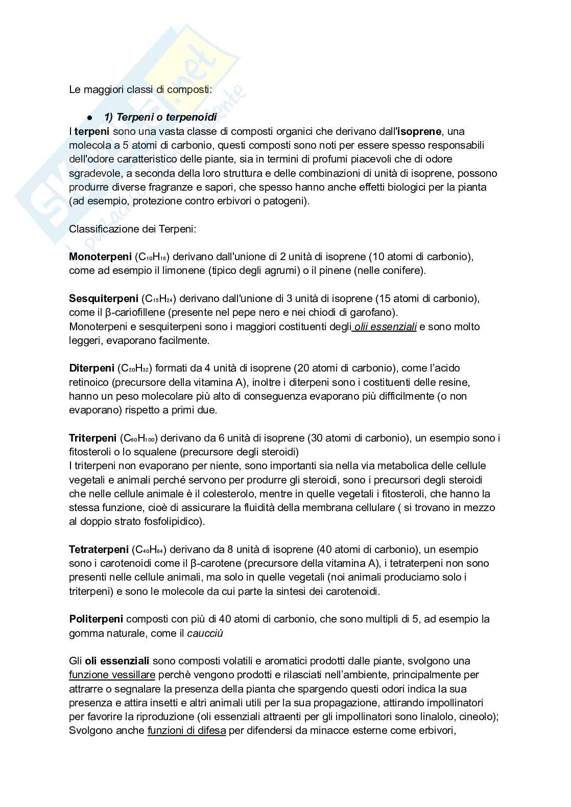 Biologia vegetale e Botanica farmaceutica  Pag. 31